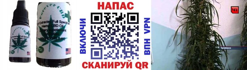 наркотики Полярные Зори сайты даркнета какой сайт Canna-Cookies конопля МЕГА онион