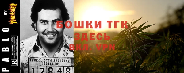 spice Аркадак