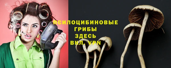 мескалин Армянск