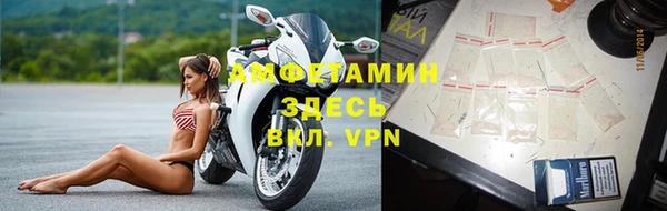 ПСИЛОЦИБИНОВЫЕ ГРИБЫ Каменногорск