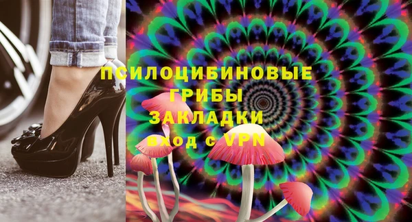спайс Арсеньев