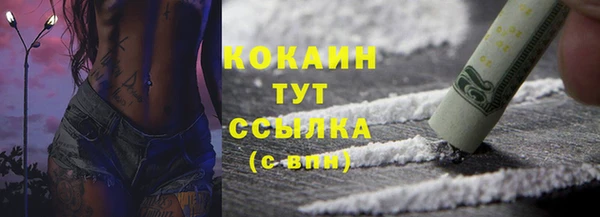 спайс Арсеньев