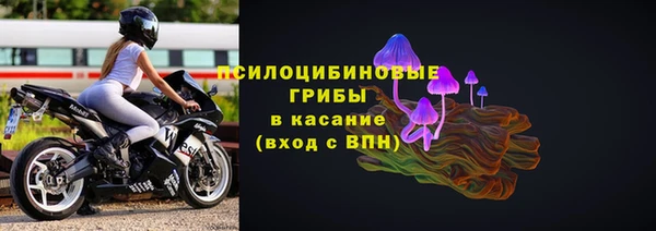 spice Аркадак