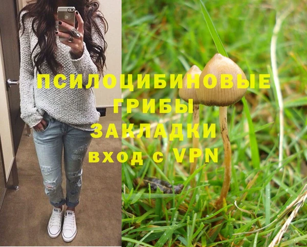 spice Аркадак