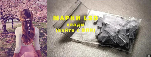 спайс Арсеньев